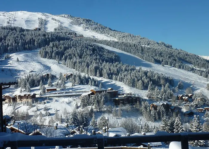 Les Ancolies 3* Куршевель