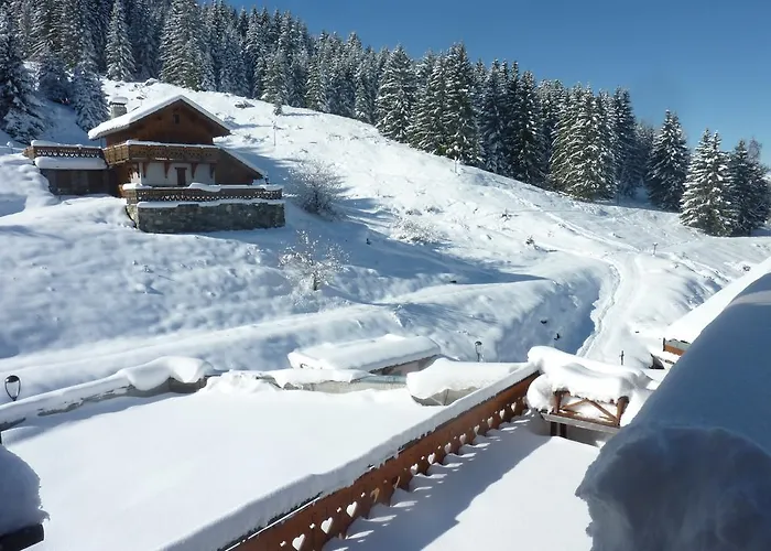 Les Ancolies 3* Courchevel